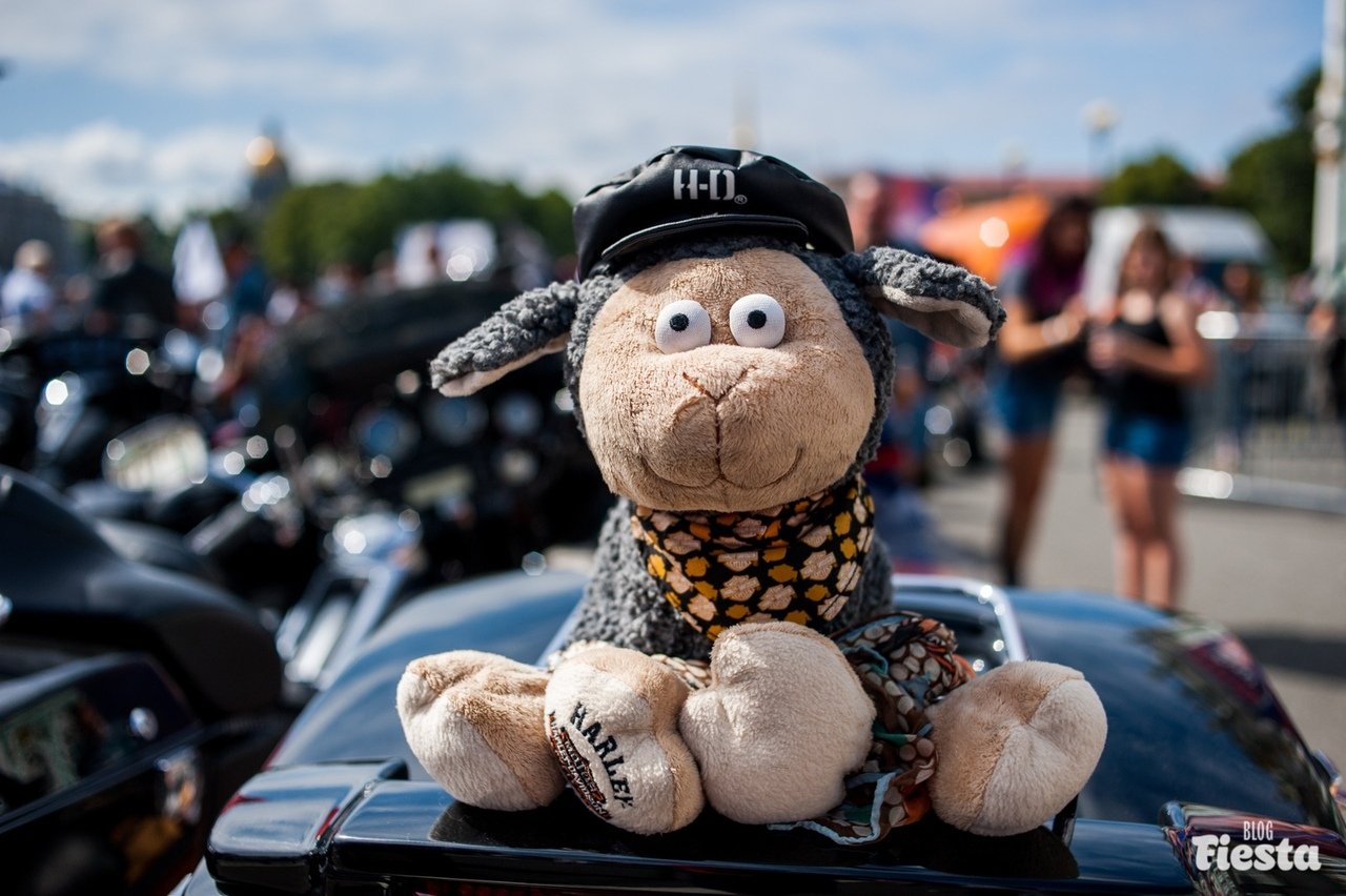 Мотофестиваль St. Petersburg Harley Days — 2019