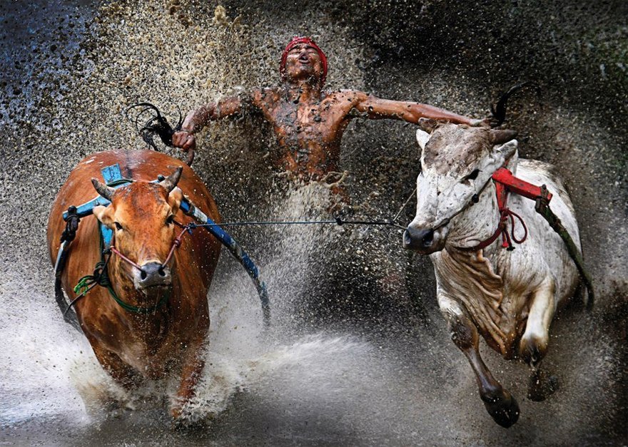 World Press Photo 2014