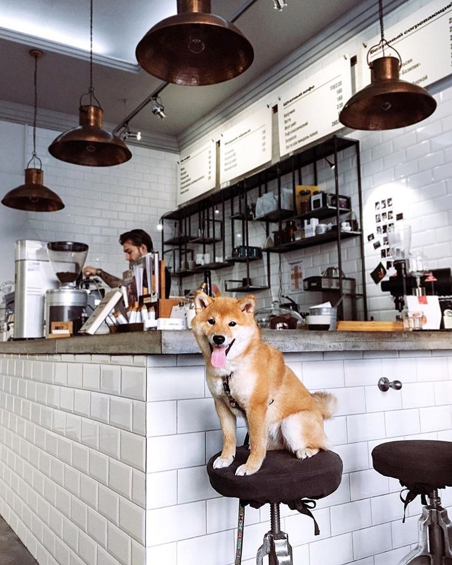 Mae Espresso