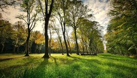 Первый экопарк в Петербурге начнут возводить в августе 