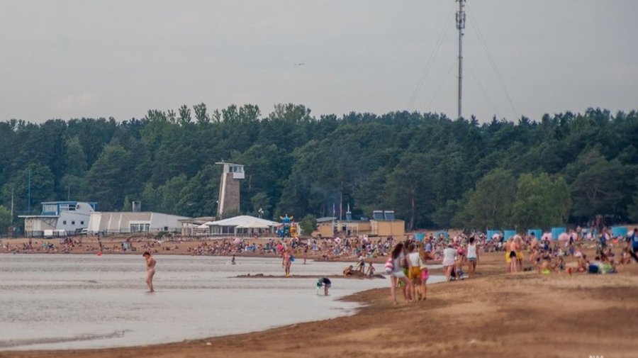 Только на двух пляжах Петербурга можно купаться, не рискуя здоровьем