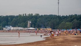 Только на двух пляжах Петербурга можно купаться, не рискуя здоровьем