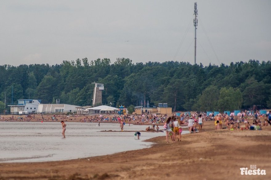 Только на двух пляжах Петербурга можно купаться, не рискуя здоровьем