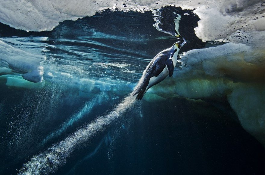 World Press Photo 2014