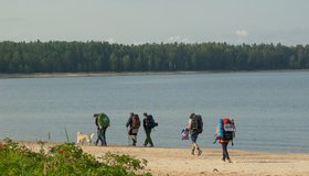 От Ораниенбаума до Соснового Бора разработали пешеходный экомаршрут по берегу залива