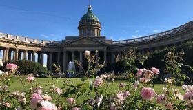 В Петербурге зацветают тысячи роз