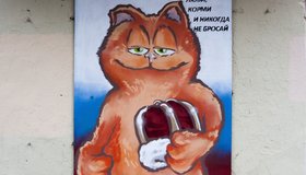 В Центральном районе появился стрит-арт в поддержку «пушистого кандидата»