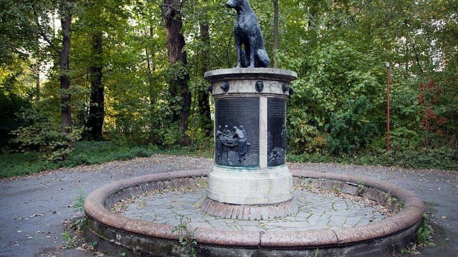Памятник собаке Павлова