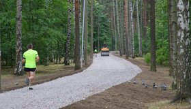 В Петербурге благоустраивают парк «Сосновка»: ремонтируют дорожки и газоны, строят футбольный стадион и сцену
