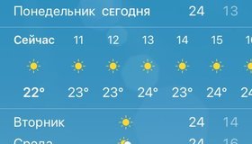 В Петербурге тепло и солнечно: на этой неделе город ждёт летняя погода