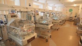 Петербурженка впервые родила в 37 лет — сразу четверых детей 