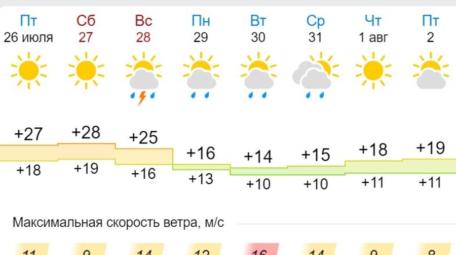 Из лета в осень: Петербург ожидают жаркие выходные, а затем похолодание на 10 градусов 