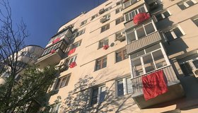 Сегодня по всей России проходит День солидарности с Шиесом