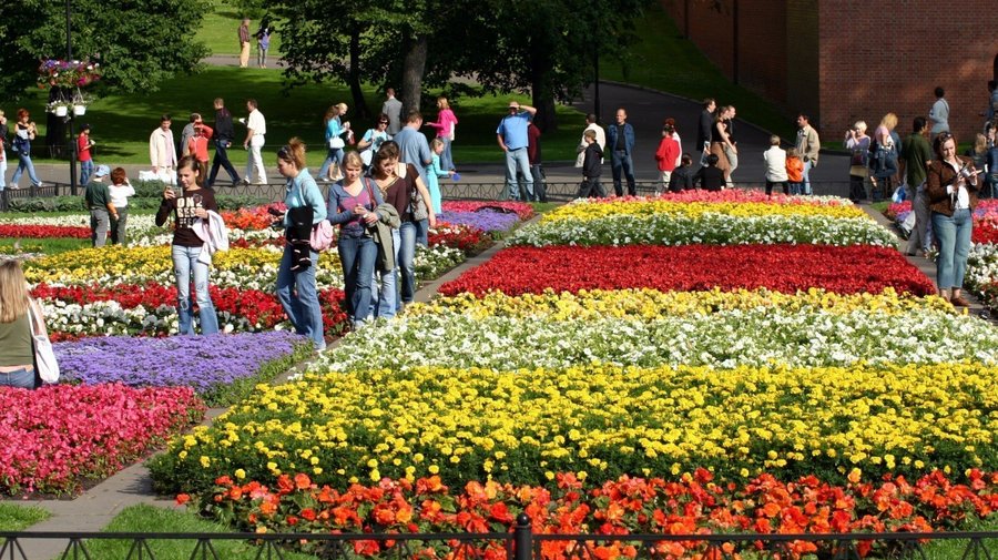 В Москве высадят почти два миллиона цветов