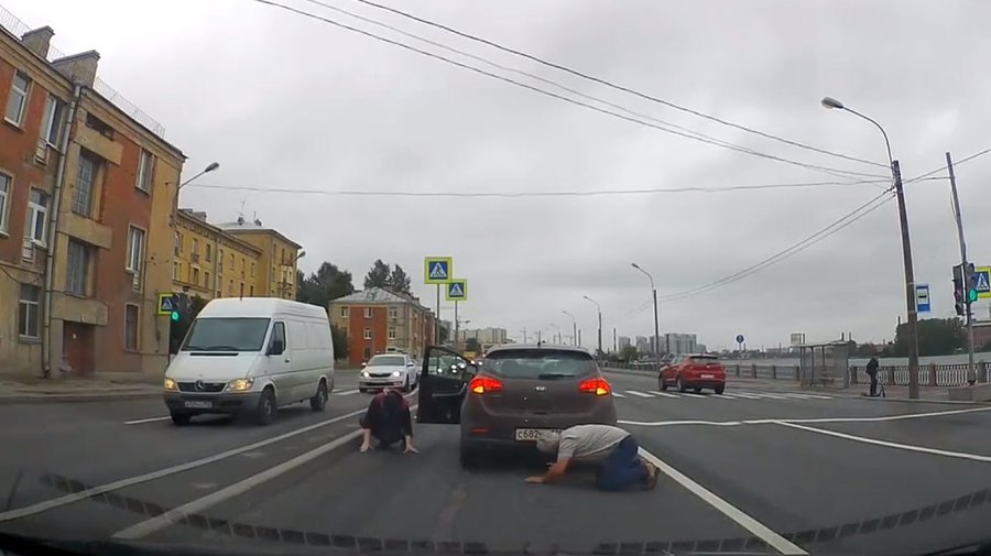 Петербургские водители остановили движение на Октябрьской набережной, чтобы спасти чёрного котёнка