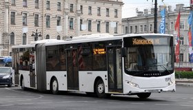 Петербургские активисты протестуют против уничтожения 54-го маршрута автобуса