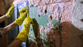Активисты восстановили уникальную плитку в исторической парадной дома Кончиелова 