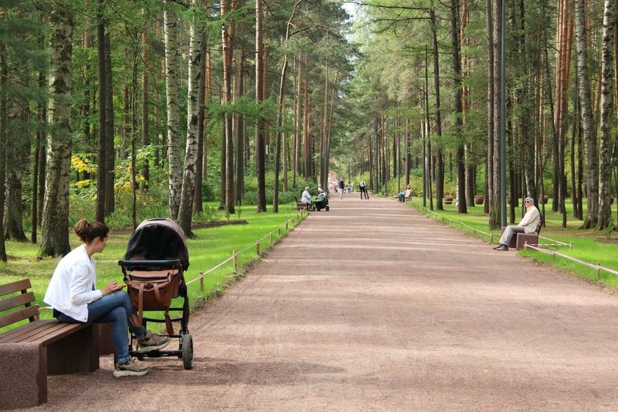 Сосновка парк в санкт петербурге