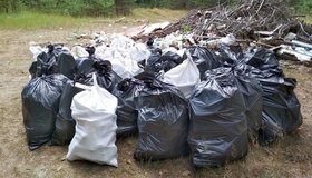 Петербуржцы собрали 350 мешков мусора в одном из лесов Ленобласти