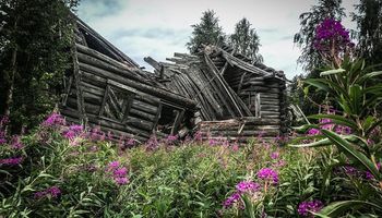 Пять деревень-призраков недалеко от Петербурга