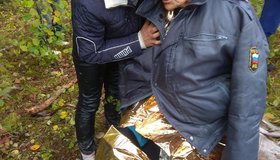 Добровольцы отряда «Лиза Алерт» спасли 88-летнюю женщину, заблудившуюся в лесу
