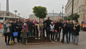Сегодня на площади Восстания петербуржцы высадили клёны, купленные на собранные в соцсетях средства