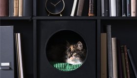 В магазинах IKEA появятся фигуры собак и кошек из приютов