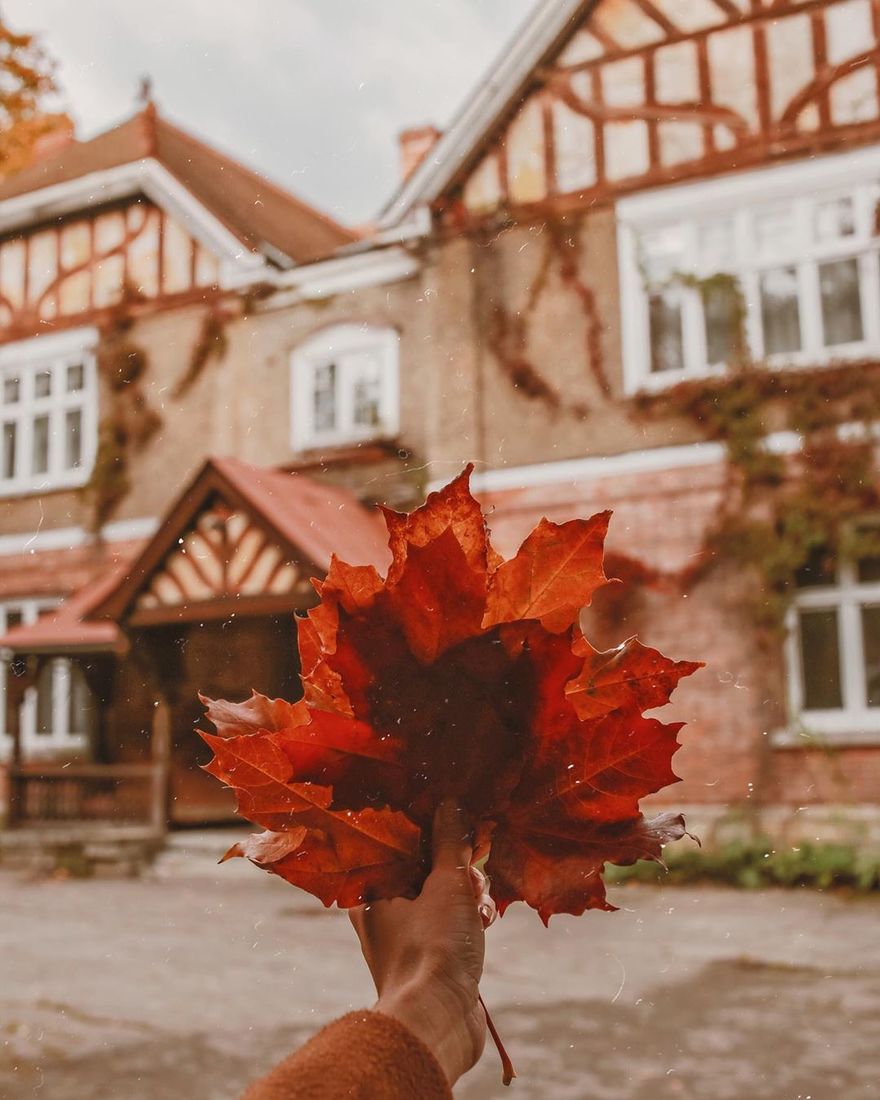 Фото: christinacherry