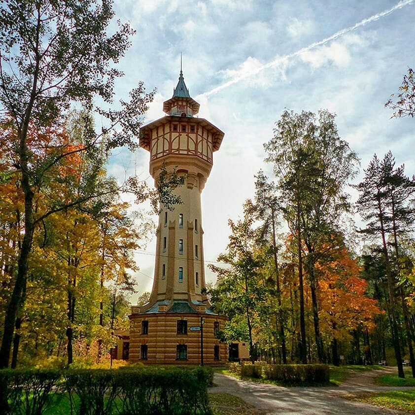 Фото: krikunludmila
