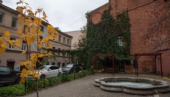 Заросшие девичьим виноградом дворики Петроградской стороны