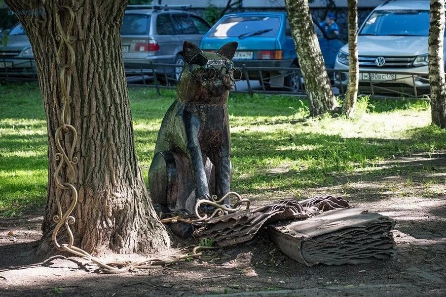 Учёный кот