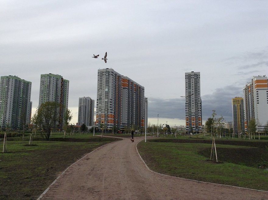 Петербуржцы украли сотни растений из недавно открытого парка Героев-пожарных и парка Интернационалистов