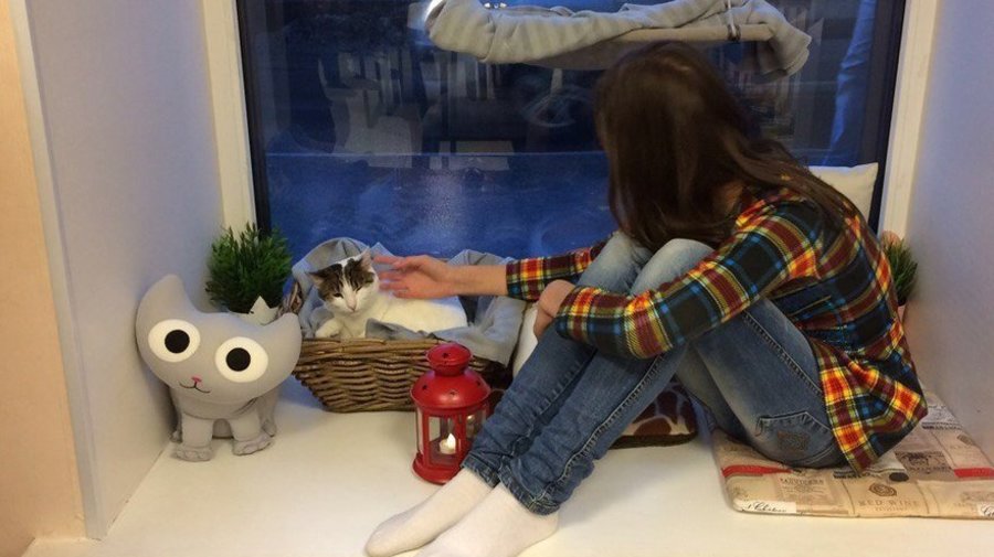Котокафе Soulmate