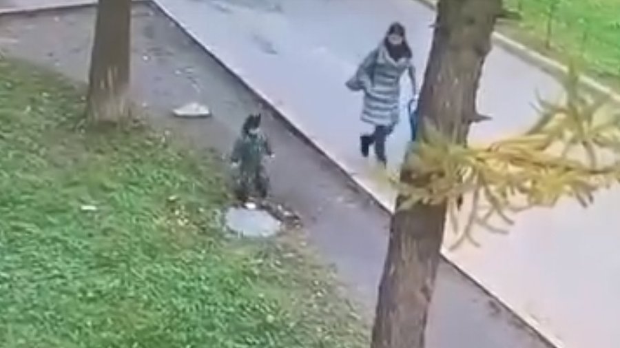 В Московском районе ребёнок провалился под крышку люка — его сумели спасти мама и случайная прохожая