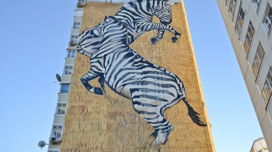 «Сафари в городе»