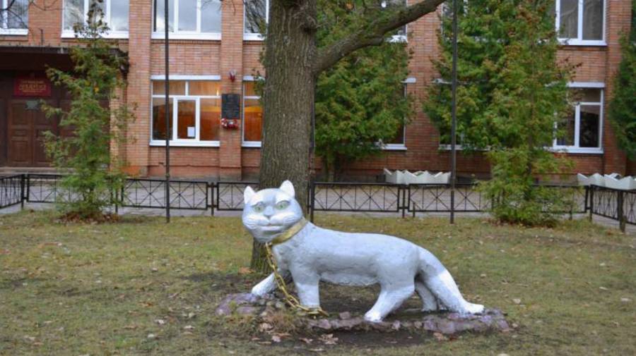 «Кот учёный»