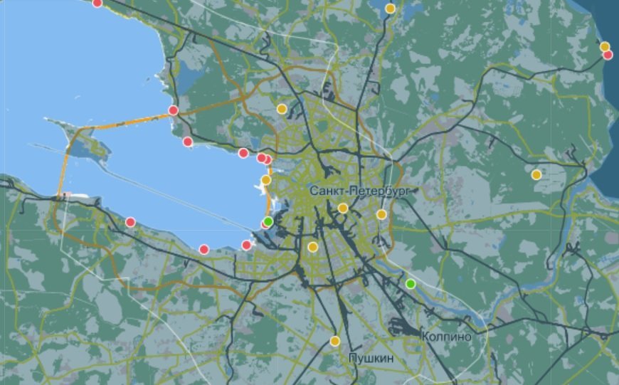 Проверка Гринпис показала, какие берега Петербурга самые замусоренные и чем их загрязняют 