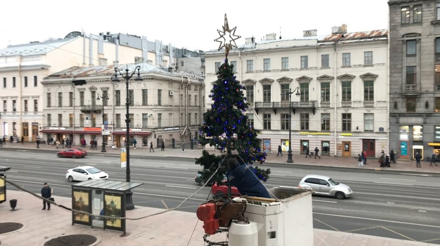 У Гостиного двора установили новогоднюю елку
