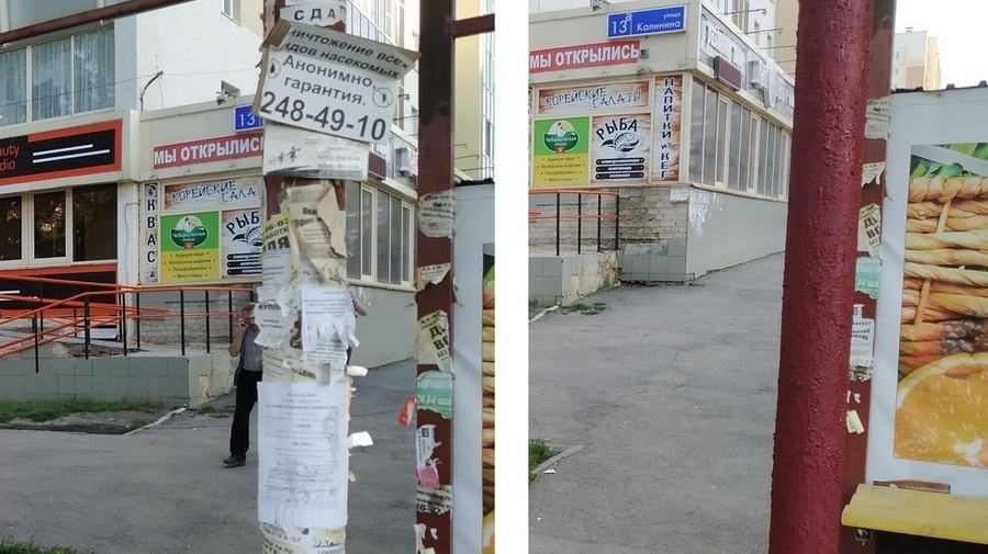 Чистомэн изобрёл способ убрать с петербургских столбов незаконную рекламу