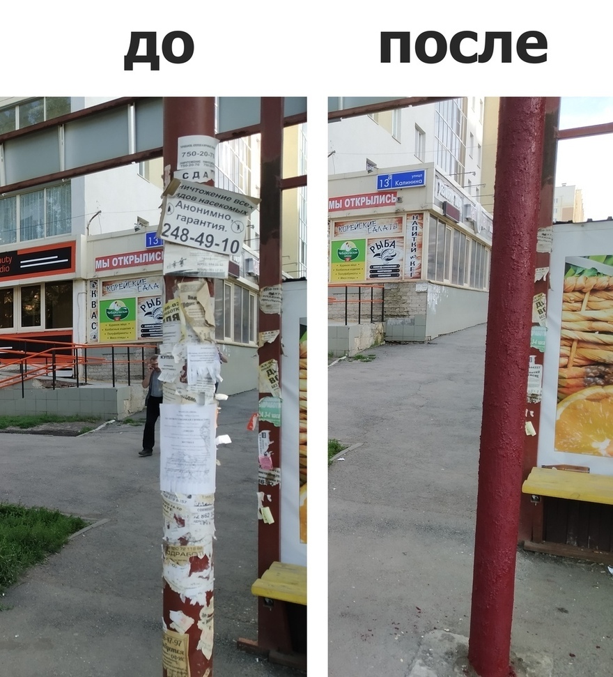 Чистомэн изобрёл способ убрать с петербургских столбов незаконную рекламу 
