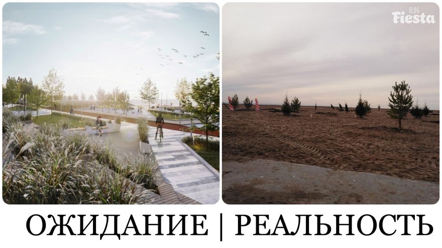 На Васильевском острове елки воткнули в песок