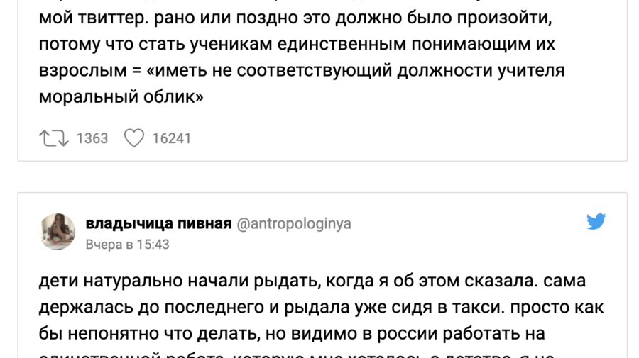 Петербургскую учительницу уволили из-за записей в твиттере