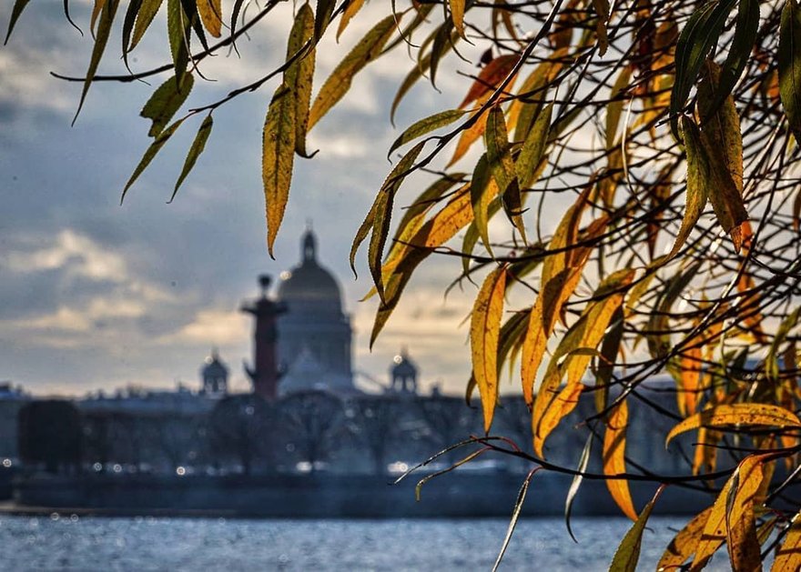 Ноябрь в Петербурге выдался необыкновенно теплым