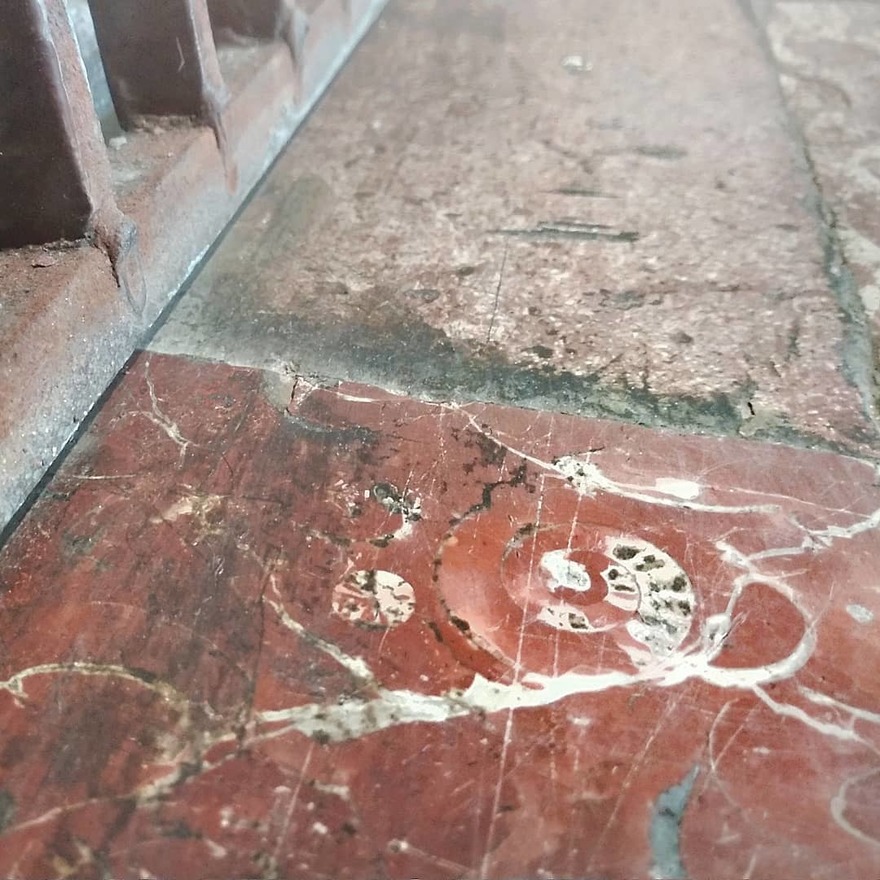 На Царскосельском вокзале нашли моллюска, который умер 200 миллионов лет назад