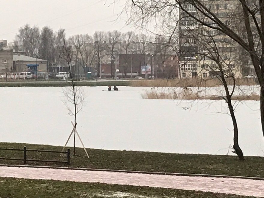 Наледная рыбалка или дайвинг для МЧС? Первые рыбаки вышли на лед в Петербурге