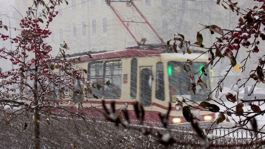 Неожиданная зима остановила движение в Петербурге