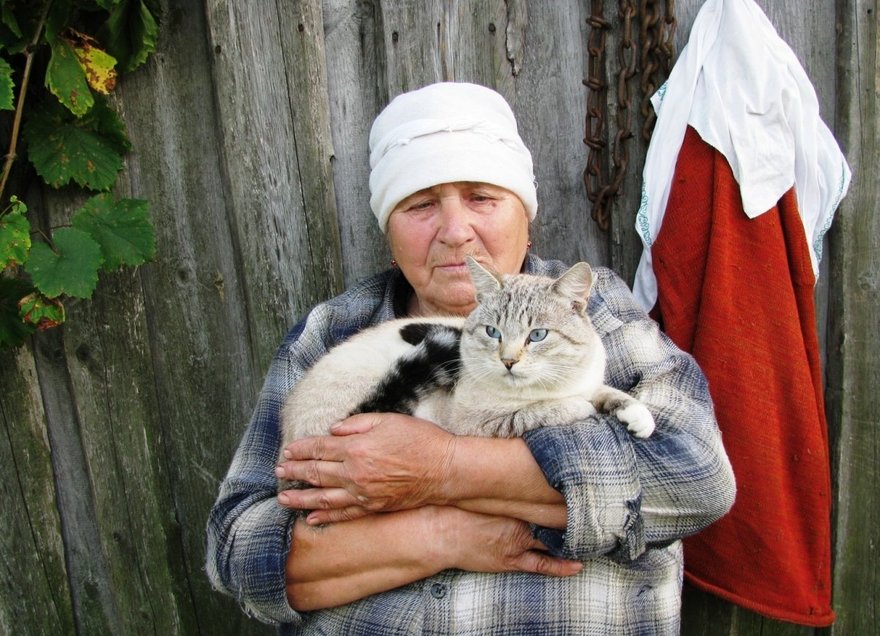 Петербургские дома престарелых предлагают объединить с приютами для животных 