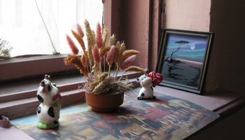 Самые петербургские парадные