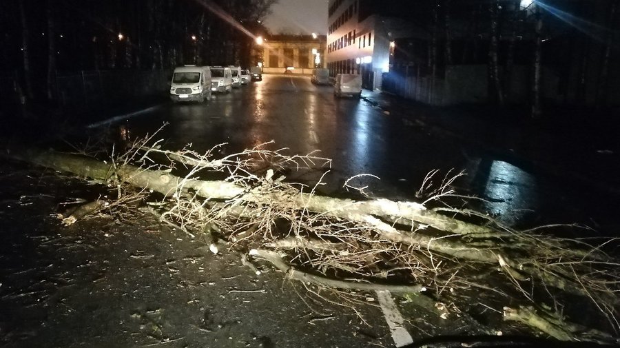 Петербург против ветра: вчера в городе бушевал шторм