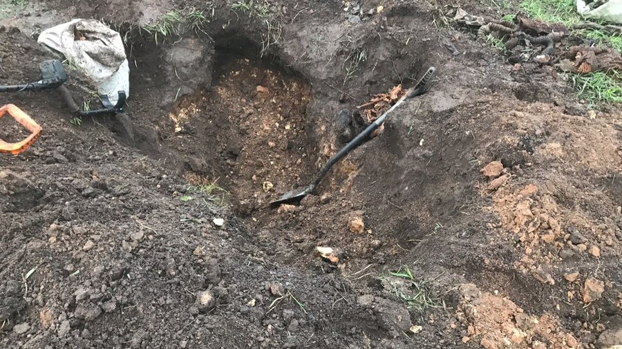 Поисковики нашли останки трех солдат, погибших под Гатчиной во время ВОВ